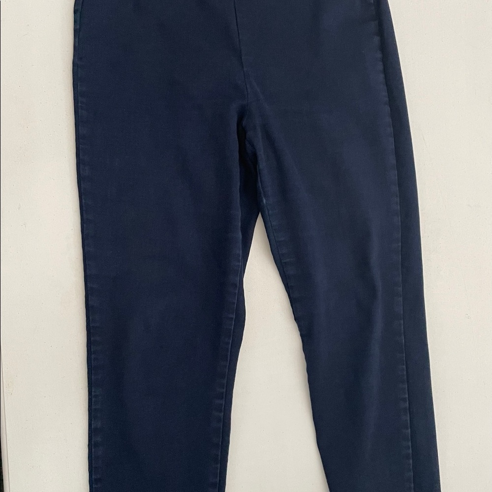 Petite Navy Crop Pants